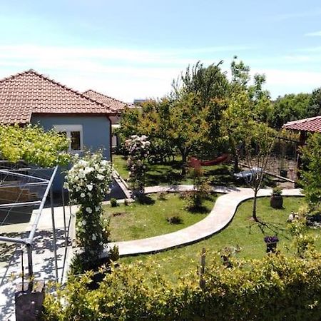 Villa Viktoria Halkidiki Nea Silata Ngoại thất bức ảnh