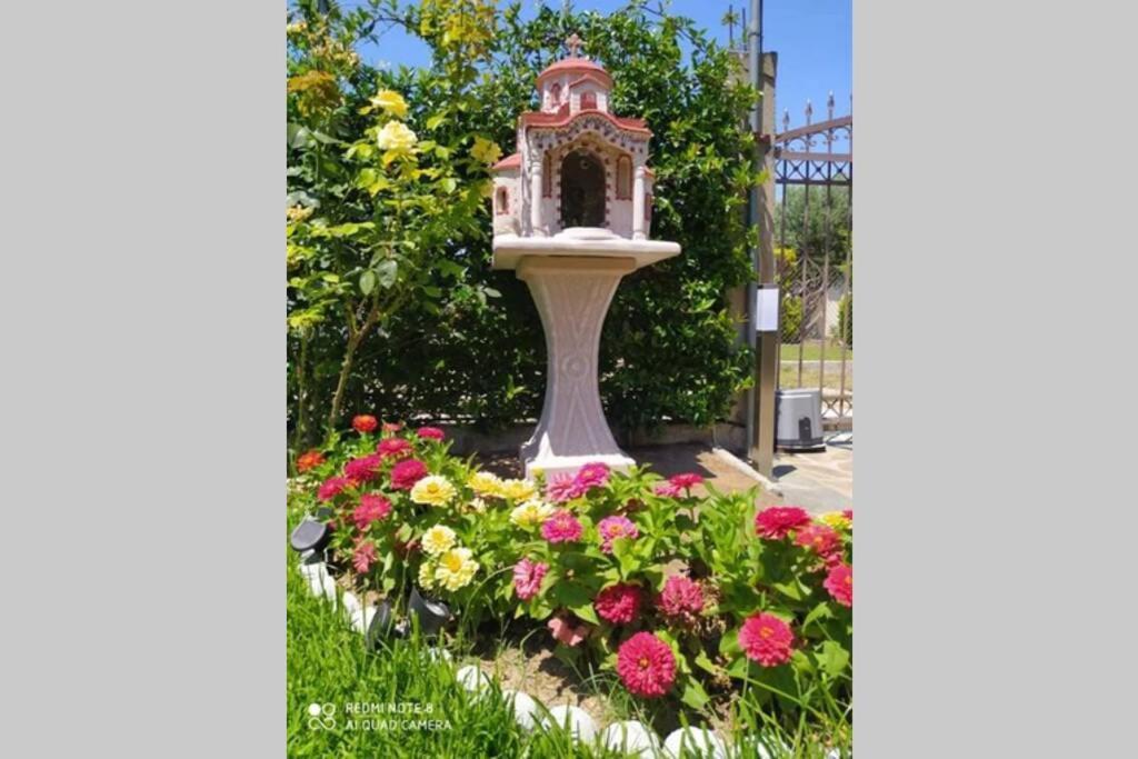 Villa Viktoria Halkidiki Nea Silata Ngoại thất bức ảnh