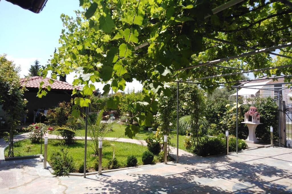 Villa Viktoria Halkidiki Nea Silata Ngoại thất bức ảnh