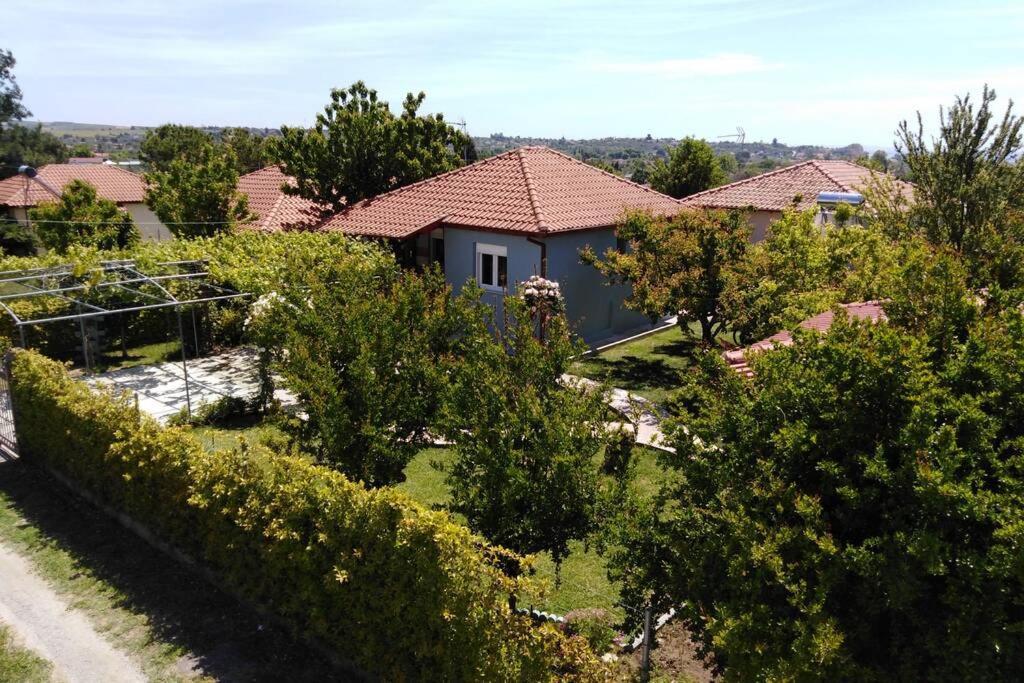 Villa Viktoria Halkidiki Nea Silata Ngoại thất bức ảnh