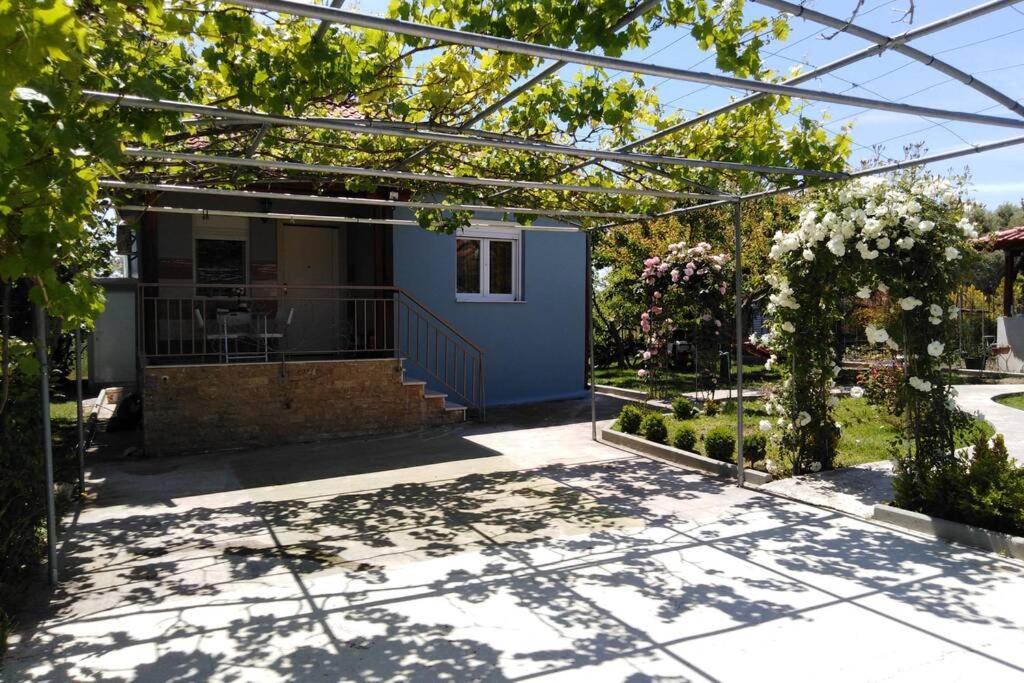 Villa Viktoria Halkidiki Nea Silata Ngoại thất bức ảnh