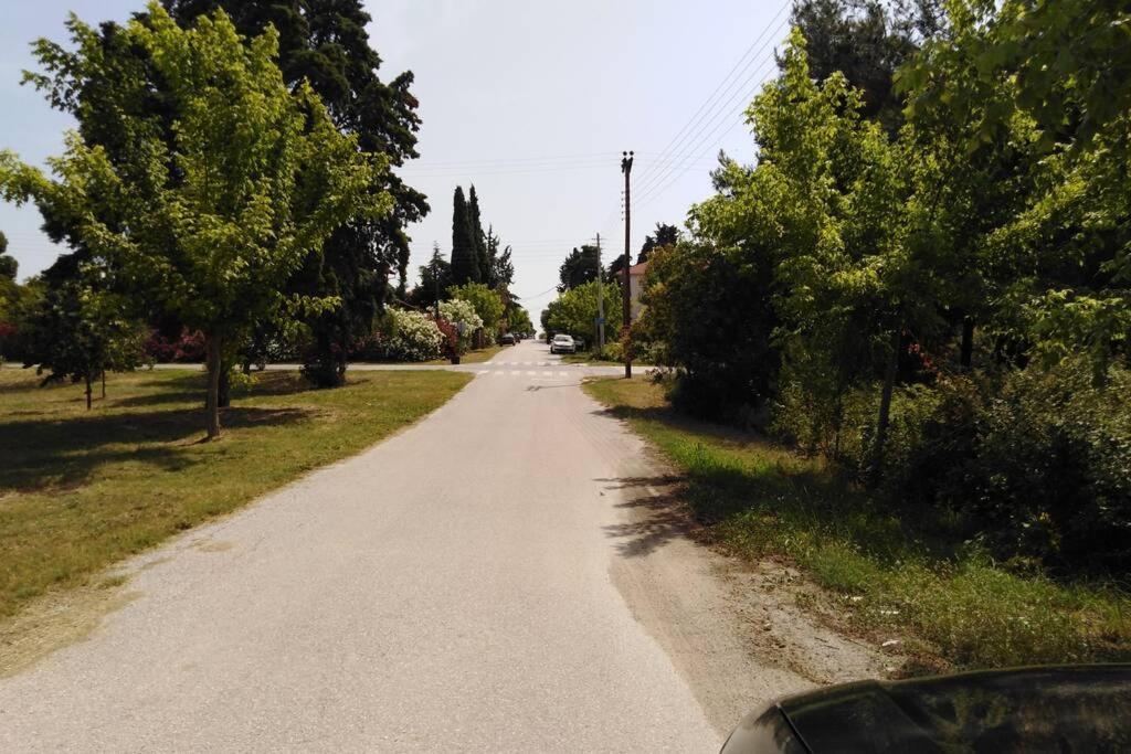 Villa Viktoria Halkidiki Nea Silata Ngoại thất bức ảnh