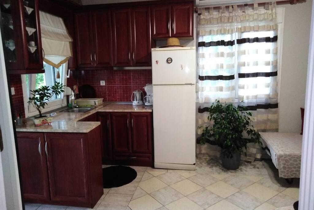 Villa Viktoria Halkidiki Nea Silata Ngoại thất bức ảnh