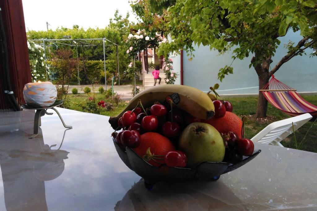 Villa Viktoria Halkidiki Nea Silata Ngoại thất bức ảnh