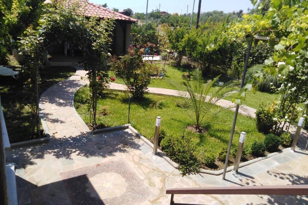 Villa Viktoria Halkidiki Nea Silata Ngoại thất bức ảnh