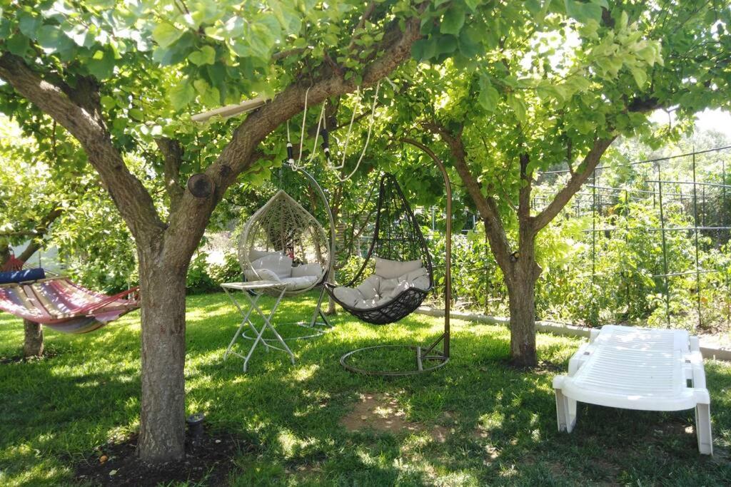 Villa Viktoria Halkidiki Nea Silata Ngoại thất bức ảnh