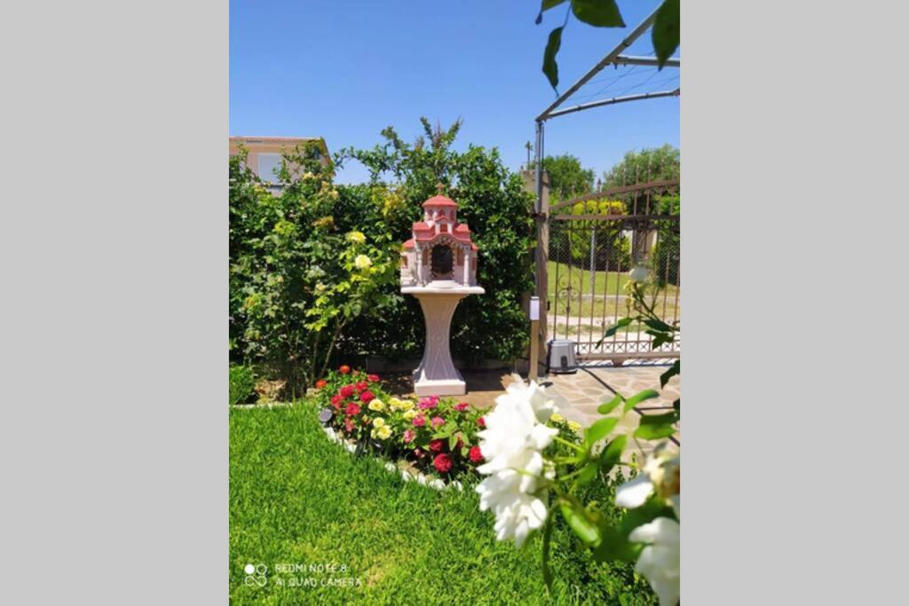 Villa Viktoria Halkidiki Nea Silata Ngoại thất bức ảnh