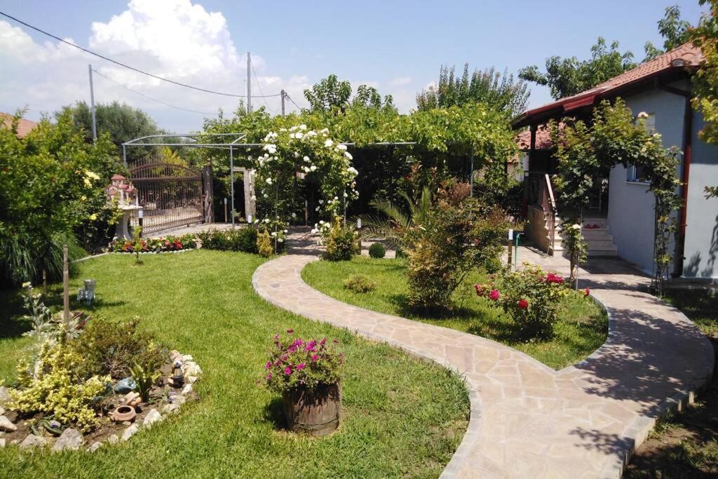 Villa Viktoria Halkidiki Nea Silata Ngoại thất bức ảnh