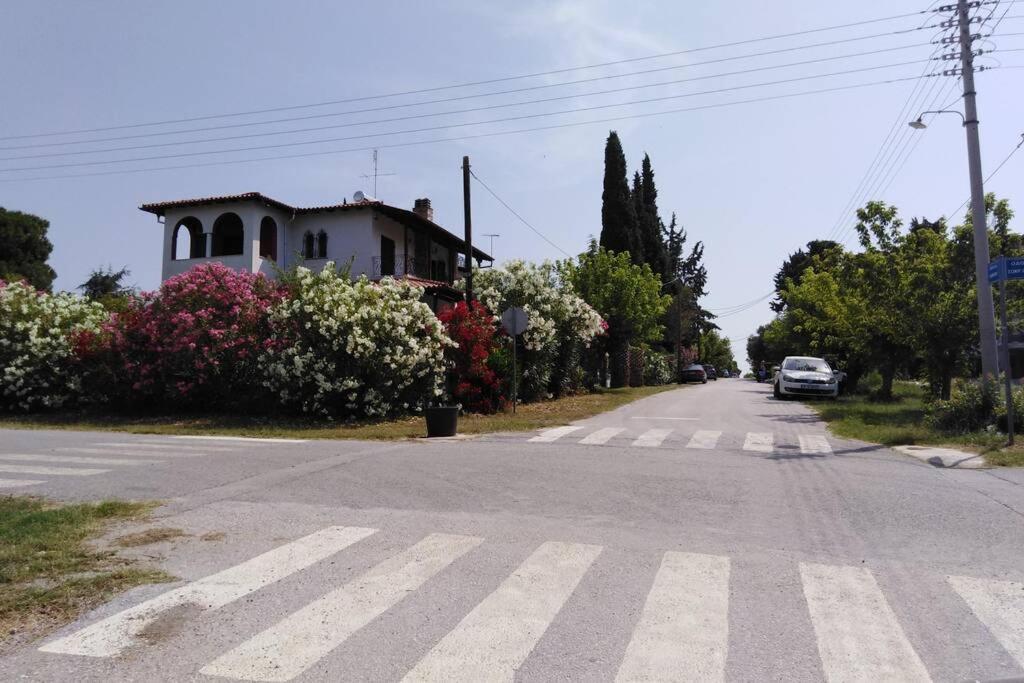 Villa Viktoria Halkidiki Nea Silata Ngoại thất bức ảnh