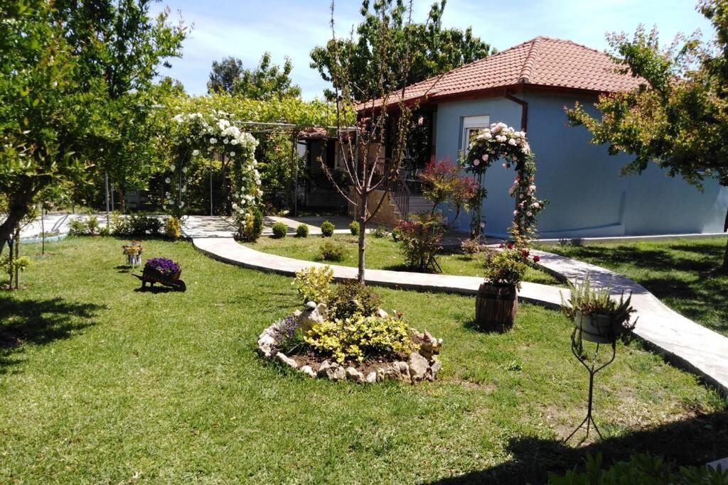 Villa Viktoria Halkidiki Nea Silata Ngoại thất bức ảnh