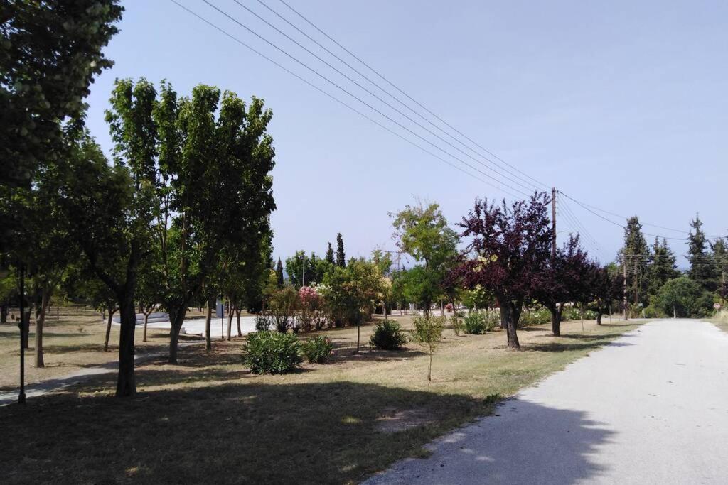 Villa Viktoria Halkidiki Nea Silata Ngoại thất bức ảnh