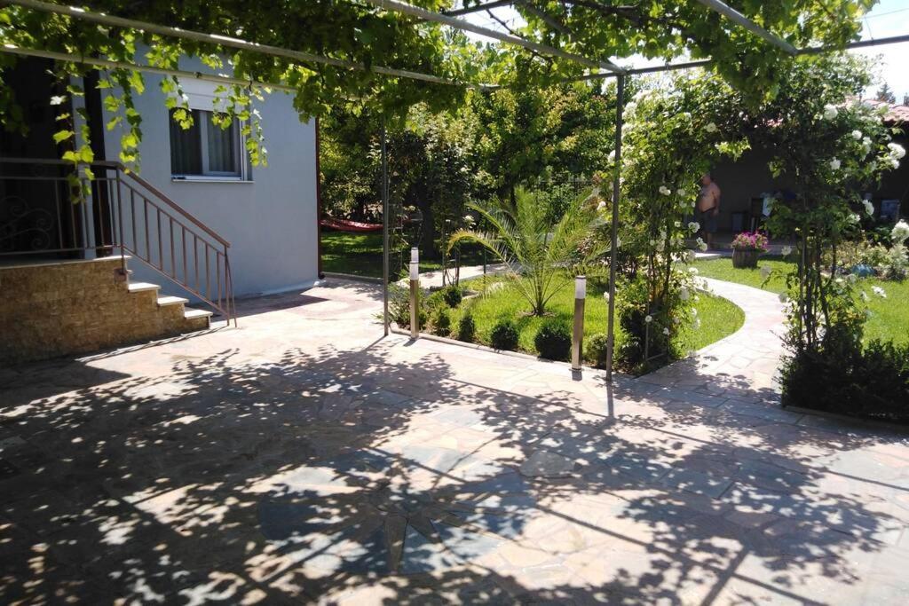 Villa Viktoria Halkidiki Nea Silata Ngoại thất bức ảnh