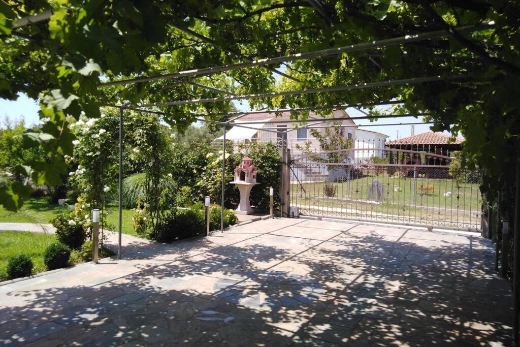 Villa Viktoria Halkidiki Nea Silata Ngoại thất bức ảnh