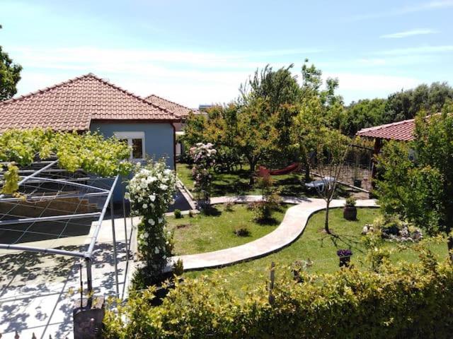 Villa Viktoria Halkidiki Nea Silata Ngoại thất bức ảnh